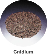 Cnidium