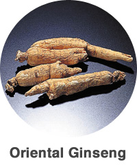 Oriental Ginseng