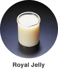 Royal Jelly