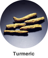 Turmeric